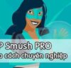 download wp smush pro