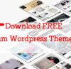 download-mien-phi-170-theme-for-Dessigndotnet